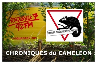 Illustration de Les chroniques du cameleon