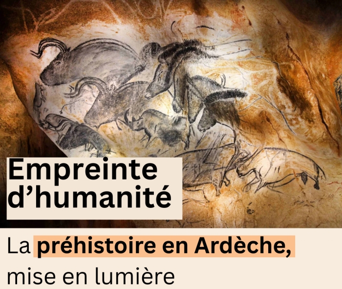 Illustration du podcast 25/01/2026