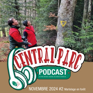 Illustration du podcast 18 22 23/11/2024