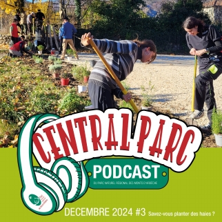Illustration du podcast 16 20 21/12/2024