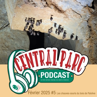 Illustration du podcast 17 22 28/02/2025