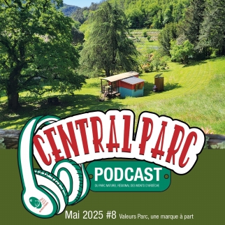 Illustration du podcast 19 23 24/05/2025