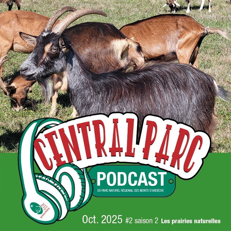 Illustration du podcast 20 24 25/10/2025