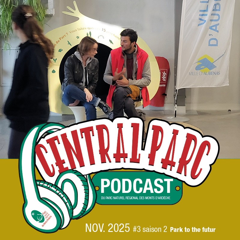 Illustration du podcast 17 21 22/11/2025