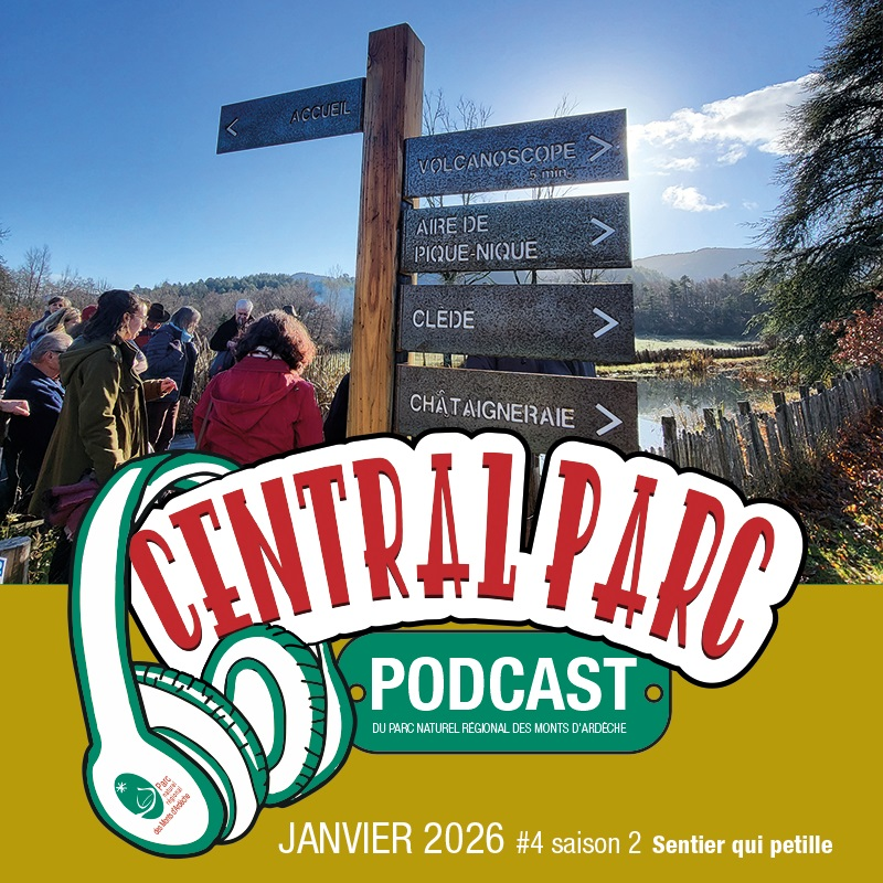 Illustration du podcast 19 23 24/01/2026