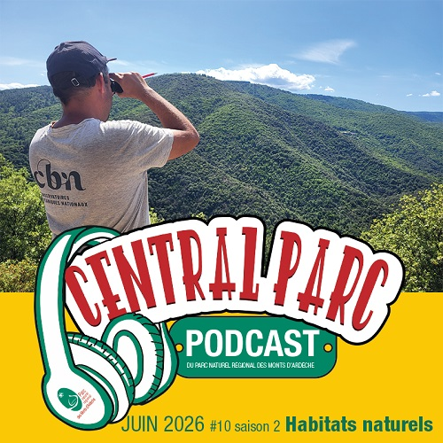 Illustration du podcast 15 19 20/06/2026