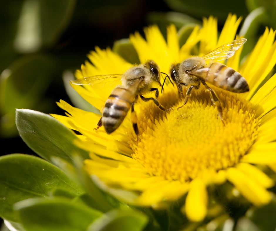 Illustration du podcast 19/12/2025