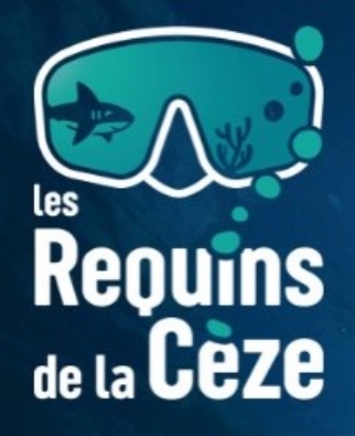 Illustration du podcast 11/02/2026