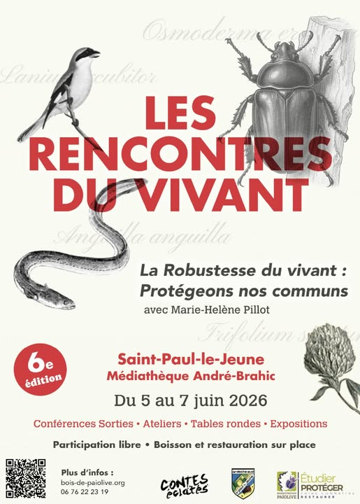 Illustration du podcast 02/06/2026
